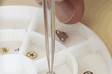 福州劳力士手表售后保养服务